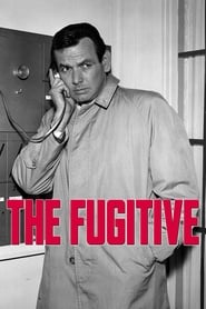 The Fugitive Episode Rating Graph poster
