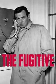 Poster The Fugitive 1967