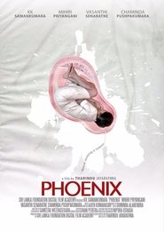 Poster Phoenix 2017