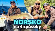 Episode 29