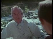 Stranger in Possum Meadows