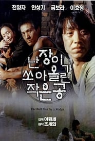 Poster 난장이가 쏘아올린 작은 공