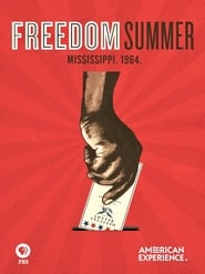 Freedom Summer постер