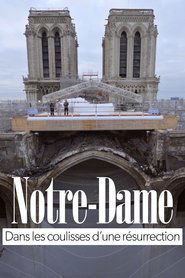 Notre-Dame, dans les coulisses d’une résurrection 2021 免费无限访问