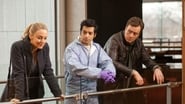 Murder at the University Library