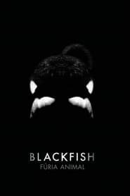 Blackfish: Fúria Animal