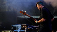 Bonobo