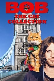Bob The Cat Collection en streaming