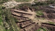 Tramas del Plan Cóndor 2014 Бесплатан неограничен приступ