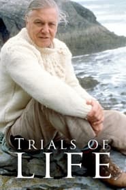 The Trials of Life постер