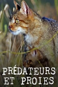 Poster Prédateurs et proies - La faune de la péninsule Ibérique