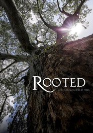 Rooted in Africa