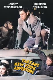 Tarzan's New York Adventure постер