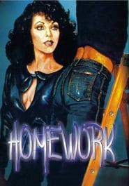 Homework постер