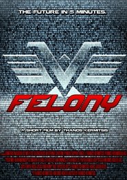 Poster Felony 2014