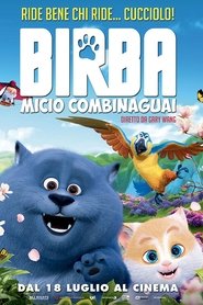 Birba – Micio combinaguai