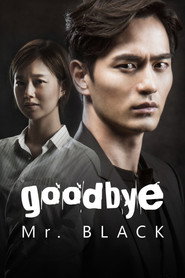 Goodbye Mr. Black poster