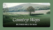 Butser Hill in May