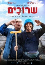 שרוכים לצפייה ישירה