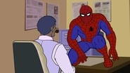 Spider-Man en streaming