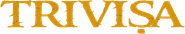 Trivisa Logo