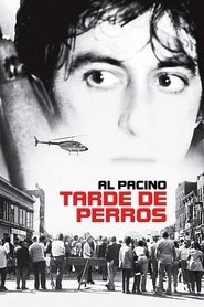 Tarde de perros (1975) | Dog Day Afternoon