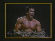 January 17, 1987 - Superstars of Wrestling #20