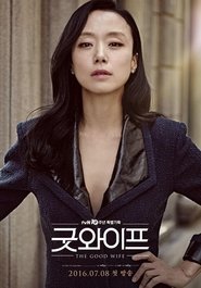 The Good Wife poster