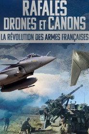 Rafale, drones et canons : la révolution des armes françaises