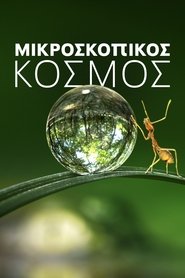 Tiny World / Μικροσκοπικός κόσμος (2020) online ελληνικοί υπότιτλοι