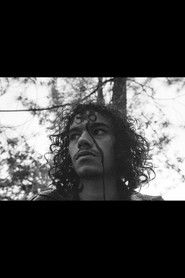 Duarte Simães photo 2