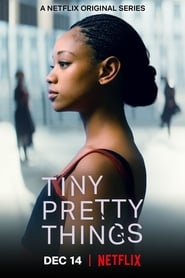Tiny Pretty Things poster