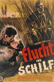 Poster Brutality 1953