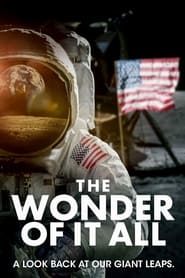 The Wonder of It All постер