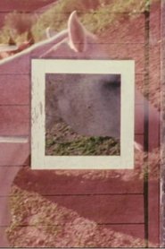 Poster Stable 2003