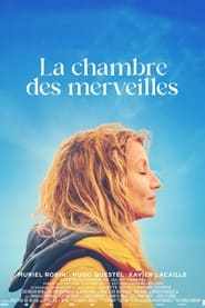 Film La chambre des merveilles en streaming