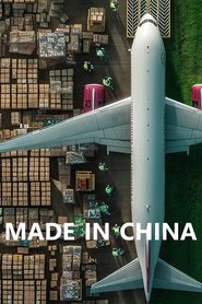 Made in China (2025)