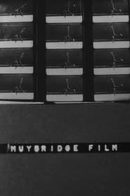 Muybridge Film