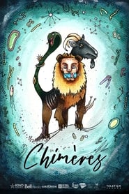 Poster Chimères