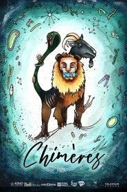 Poster Chimères 2022