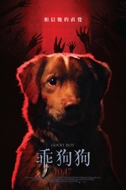 乖狗狗 (2025)
