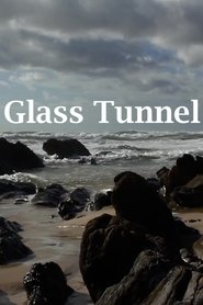 Glass Tunnel (2013)