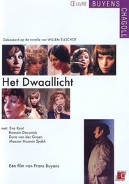 Het Dwaallicht (1973)