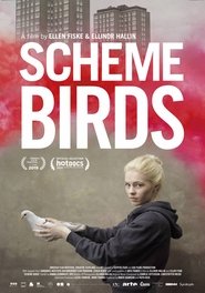 Scheme Birds (2019)