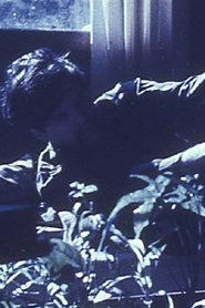 Poster Films by Stan Brakhage: An Avant-Garde Home Movie