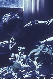 Poster Films by Stan Brakhage: An Avant-Garde Home Movie 1961