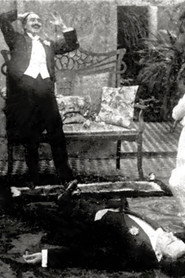Del Manicomio al Matrimonio