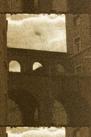 ‘HOW AM I FERMENTED’