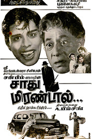 Image for Sadhu Mirandal