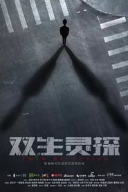 Poster 双生灵探